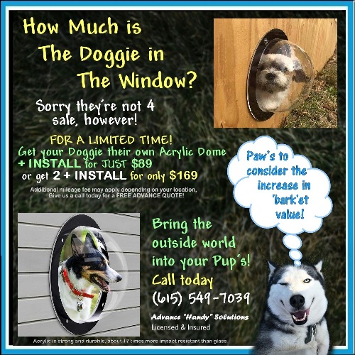 Doggie Dome Window